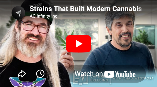 Strains That Built Modern Cannabis Ep. 3