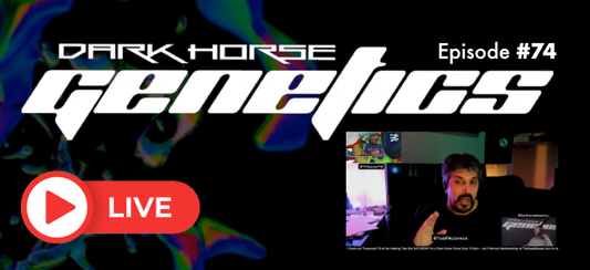 Dark Horse Live! Ep. 74 - Todd McCormick