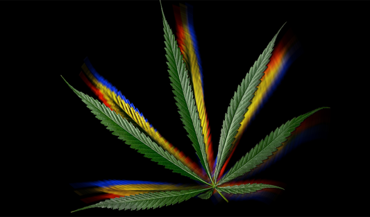 The Primary Colors of Cannabis