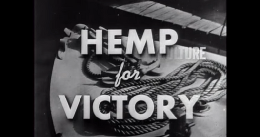 The Difference Between Decriminalizing and Legalizing
