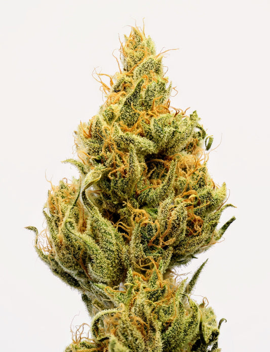 What is Original Haze?