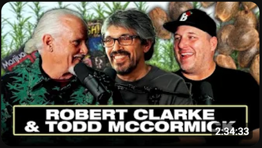 First Smoke of the Day - Robert Clarke and Todd McCormick