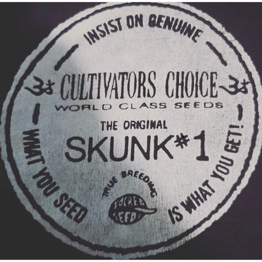 What is Skunk Cannabis?