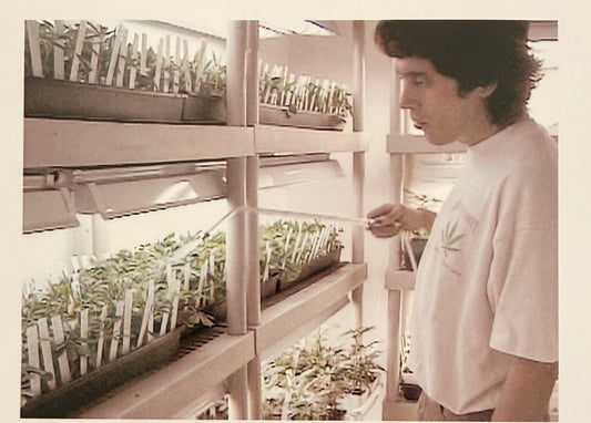 My 1998 book: How to Grow Medical Marijuana