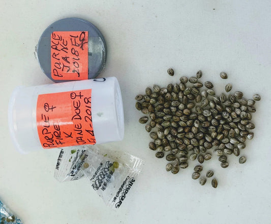 Storing Seeds